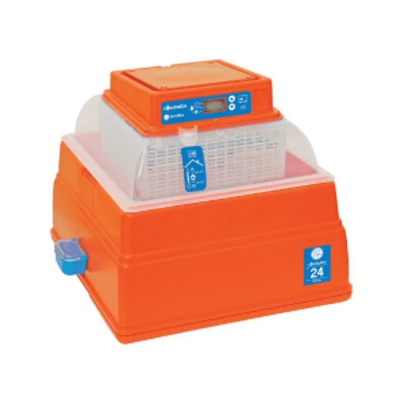 Novital Covatutto 24 Digital – Robust rugemaskin for 24 egg