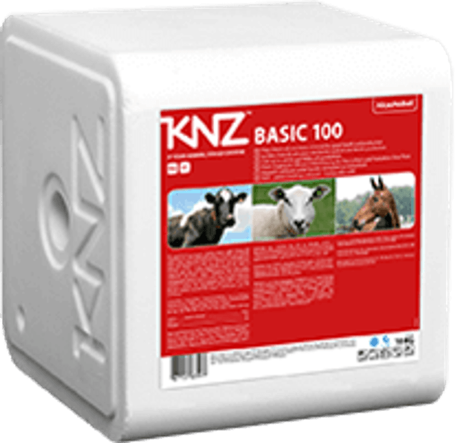 Hovedbilde Basis 100 saltstein 10 kg KNZ