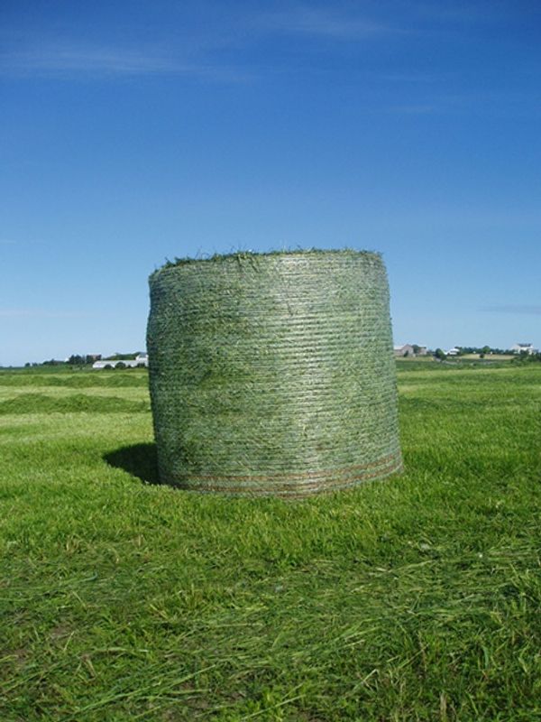 Rondotex IMRESS 125cm x3600  Pris på forespørsel 