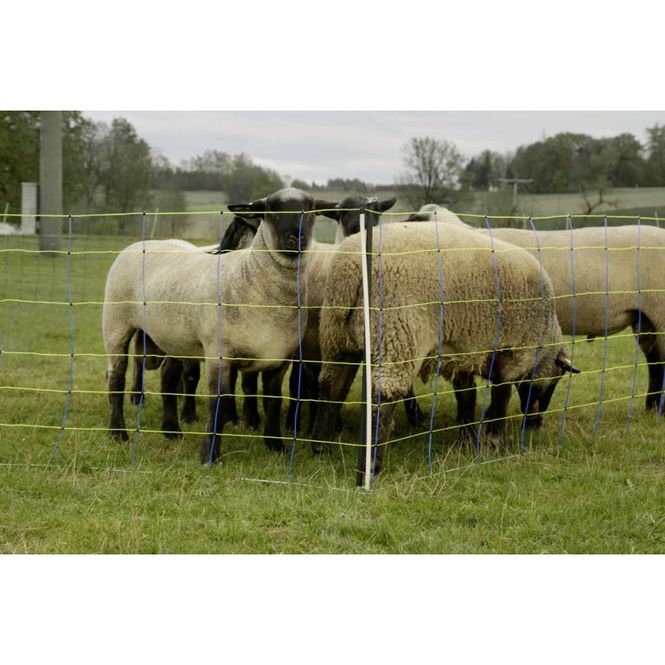 Hovedbilde Gjeternetting Pro+ 50M