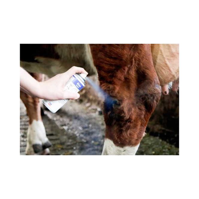Hovedbilde AgroChemica Blue-Spray (400 ml) – ...