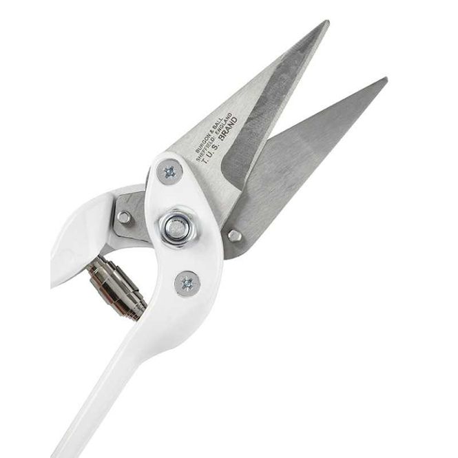 Hovedbilde Professional Footrot Shear (Plain Blades): En ...